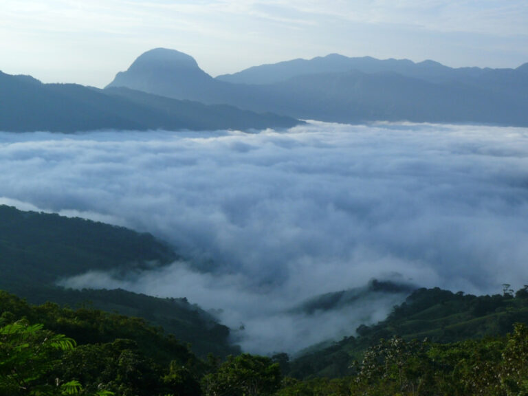 Exploraciones en Sierra Negra, desde La cumbre hasta Ojo de Agua