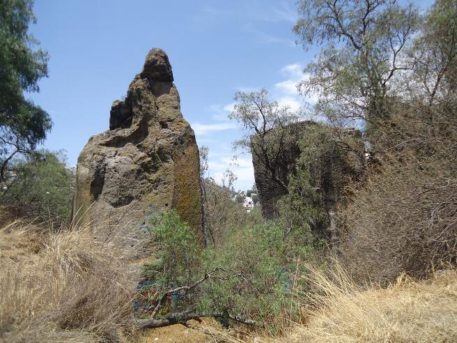 La Pared de Los Remedios
